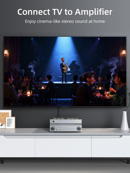 CABLETIME 2RCA to 2RCA Stereo Audio Cable Male to Male for Home Theater, Amplifier, Hi-Fi System & Car Audio